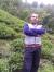 amlak_ariyan